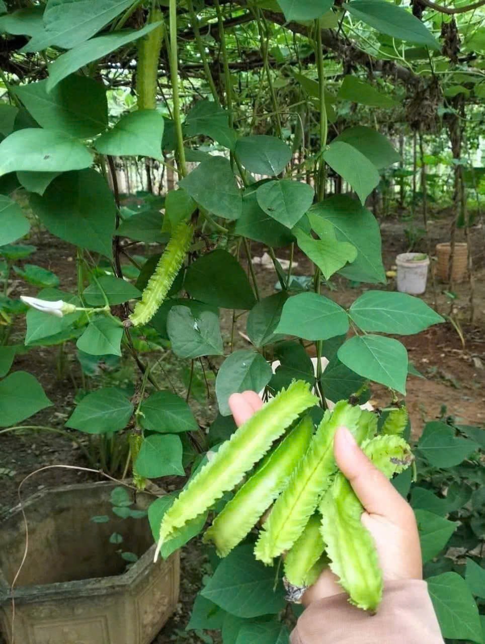 Đánh giá Minh Tuấn